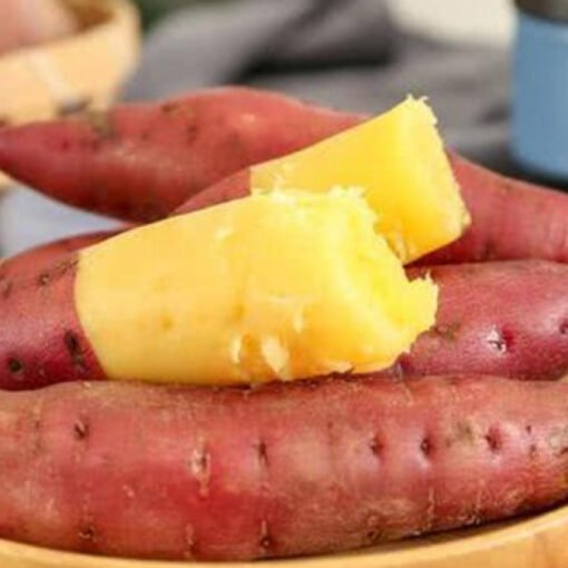 Khoai lang Nhật (ruột vàng, tím, dẻo, ngọt)