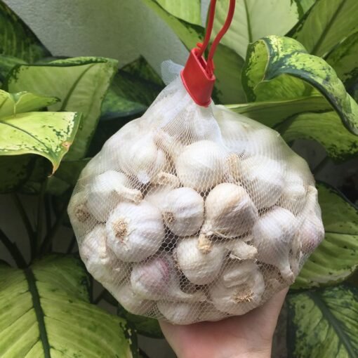Tỏi Lý Sơn